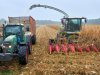 Mais als maiskolvensilage de kuil in