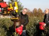 Coronacrisis leidt tot grotere belangstelling kerstboom