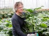 GroWplant speelt met wisselend assortiment in op vraag
