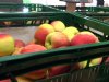 Nieuwe appels opvallend vroeg dit jaar bij fruitkwekerij in Groessen