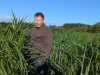'Het succes van miscanthus wordt lang voor het planten beslist'