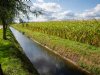Brabantse waterschappen vragen input voor nieuwe regels