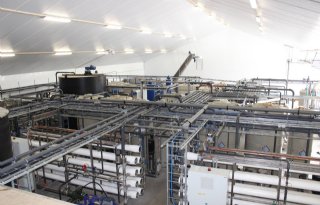 Mestverwerkingskosten Merensteyn gaan omlaag