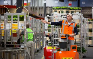 FloraHolland maakt bemoedigende start met  landelijk veilen