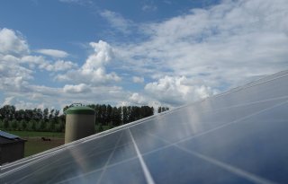 Campina draait volledig op groene boerenstroom