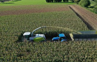 Stuk minder problemen bij maisteelt