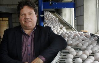 Hubers (LTO/NOP): fipronilcrisis voorbij, maar wonden nog lang niet genezen