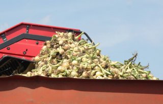 'De lagere fosfaatnorm is een soort sluipmoordenaar'