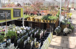 Tuincentra lopen veel omzet mis door lockdown