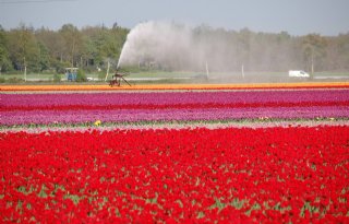 'Klimaatbeleid is geen linkse hobby'