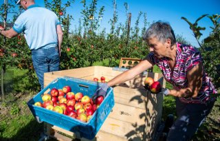 5 vragen over kennisproject 'Biofruitnet'