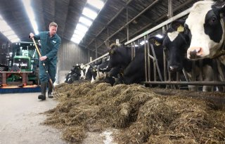 'Ruim baan voor fosfaat uit rioolwater'