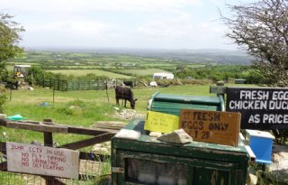 Britse boer heeft weinig vertrouwen in de toekomst