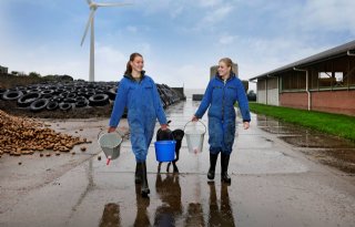 Boerin is vaker baas op de boerderij