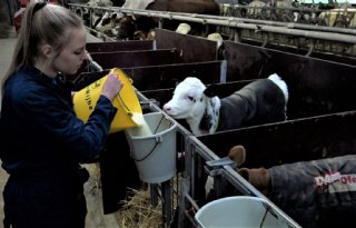 Mandy Beltman: ‘Ons bedrijf is niet groot maar heeft wel toekomst’