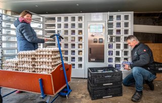 Korte keten in de knel bij vogelgriep in Den Bommel