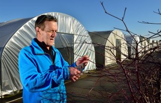 Van Ooi heeft het enten in zijn vingers