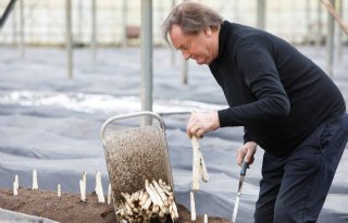 Vernieuwen zit aspergepionier in bloed