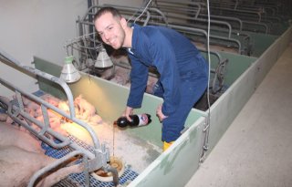 Maatschap Boekhorst 'houdt het in varkensstal simpel en degelijk'