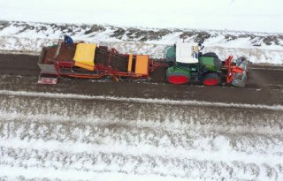 Waspeen rooien in de sneeuw