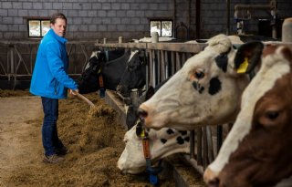 Melkveehouder De Groot verbouwt voer zoveel mogelijk zelf