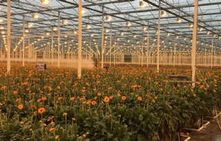 Noodkreet sectoren: zonder groene middelen, geen vergroening