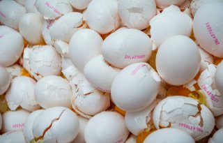 Belgisch OM eist vier jaar voor fipronil-leverancier