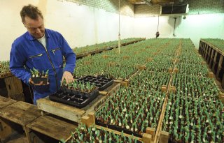 Seinen staan op groen voor TU-Lips-lijn van Van den Berg Hytuna
