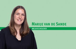 'We zijn in de basis allemaal met elkaar verbonden'