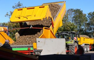 Aardappelverwerkers schakelen een versnelling terug in januari
