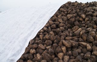 IRS waarschuwt voor naderende vorstperiode