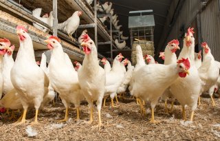 Leasen productierechten door afroming niet meer betaalbaar