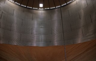 Topoogsten zorgen nog niet voor prijsdip