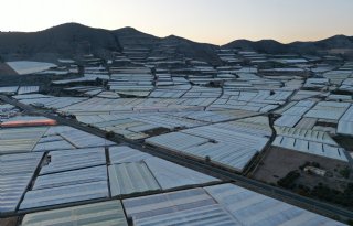 Rol van Spanje als Europese groentetuin staat onder druk