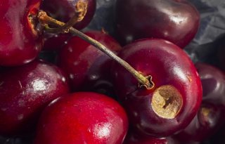 Tracer krijgt eindelijk reguliere toelating in pruimen en kersen