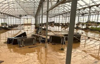 Extreem weer in Spanje treft duizenden hectares met groenten