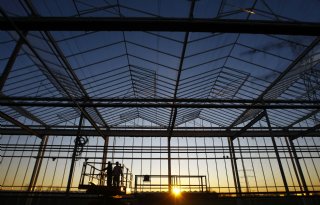 Rabobank verwacht wereldwijde toename van kassencapaciteit