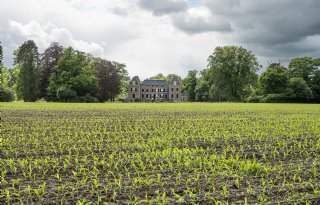 'Nu investeren in voedsel van eigen bodem'