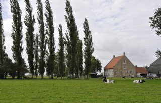 Nog veel onduidelijkheden rond aangenomen Zeeuws stikstofplan