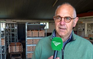 Pluimveesector teleurgesteld door twee uitbraken van vogelgriep