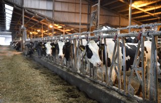 'Klanten vragen of ik meedoe aan de Cum Laude Awards en hoe hoog ik heb gescoord'