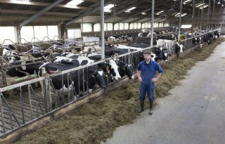 Melkveehouder Reitsma gaat actief met reductie aan de slag