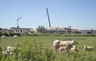 'Van het stikstofslot: het kan echt wel'