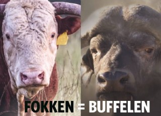 Fokken zit ook Burgers' Zoo in het bloed