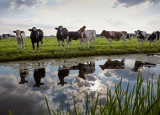 Goed voorbereid door de Gecombineerde opgave