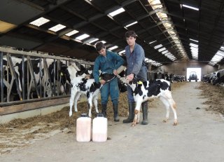 'Analyse levert supernuttige informatie'