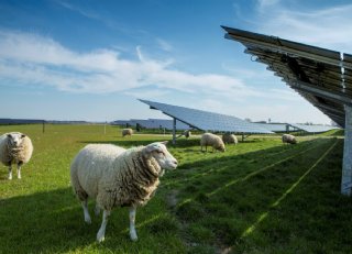 'Ga bij zonneparken in zee met een betrouwbare partij'