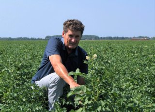 Royal MH toepassen op juiste moment geeft beste werking