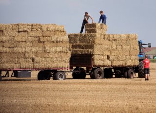 Krijgt je kind zakgeld of loon? Leg afspraken altijd vast