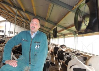 Ventilatoren in zijwand zorgen voor betere koeling melkstal